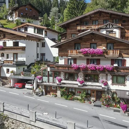 Affittacamere Elisabeth 3*